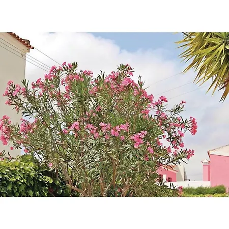 Casa vacanze Studio Holiday In Monte Francisco *
